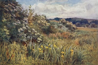 عندما يتوج المجد ميد بواسطة إرنست بينجر أو بيرنجر